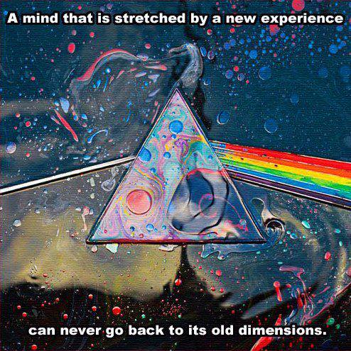 Stillness vs Force of Life