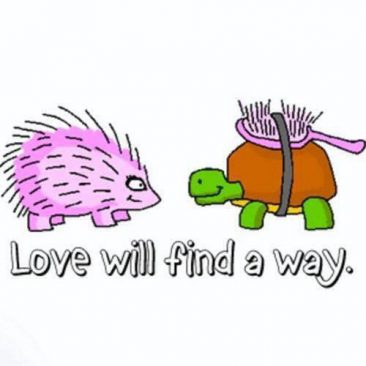 LoveFindWay