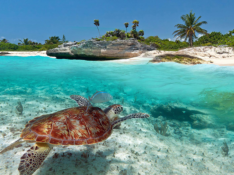 Cozumel Relics Recovered